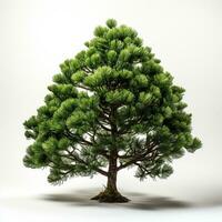 ai generato verde piccolo pino albero su bianca sfondo foto