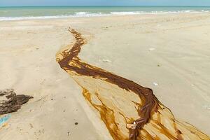 il sporco macchie su il spiaggia foto