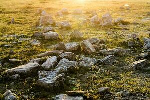 rocce su il erba con luce del sole foto