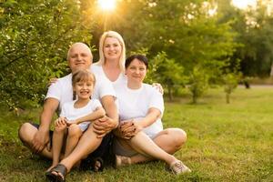 ritratto di allegro esteso famiglia seduta nel il parco foto