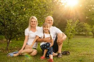 ritratto di allegro esteso famiglia seduta nel il parco foto