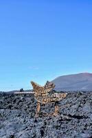 un' di legno scultura su il lava campo foto