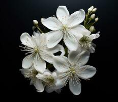 ai generato bianca fiori dentro di un otto forma foto