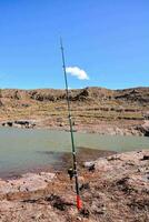 un' pesca polo su il riva di un' lago foto