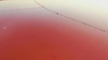 drone aereo foto dall'alto in basso di un lago rosa naturale kuyalnik a odessa, ucraina. il lago si colora naturalmente di rosa a causa dei sali e delle piccole artemia di crostacei presenti nell'acqua. questo miracolo è un evento raro