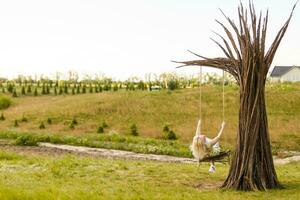 un' giovane donna è oscillante su un' swing nel un' parco ambientazione. foto