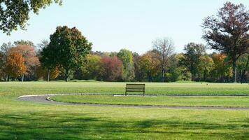 il bellissimo autunno Visualizza con il colorato alberi e le foglie nel il parco foto