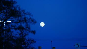 il Luna notte Visualizza con il pieno Luna e nuvole nel il cielo foto