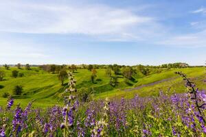 primavera fotografia, prati, campi, burroni, colline, rurale paesaggio. un' profondo, stretto gola con ripido piste. un' naturalmente sollevato la zona di terra, non come alto o scosceso come un' montagna. foto