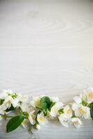 di legno sfondo con fioritura bianca gelsomino e vuoto spazio foto