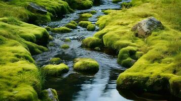 ai generato ambiente muschio tundra paesaggio foto