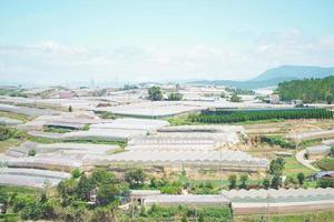 vista di molte serre a dalat, vietnam. fattorie di ortaggi dalat foto