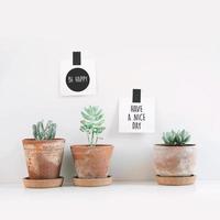 interior design scandinavo. citazione motivazionale hipster con cactus e succulente in vaso di argilla. poster buona giornata e sii felice foto