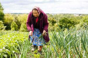 attivo anziano donna nel il giardino foto