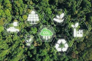 ridurre co2 emissione concetto, superiore Visualizza verde Forrest sfondo con ridurre co2 icona su virtuale schermo, sostenibile sviluppo e verde attività commerciale basato su rinnovabile energia, elettrico trasporto. foto