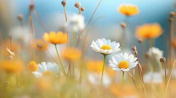 ai generato fiori, sfondo Immagine, fiore campo, luminosità, freschezza, scenario, paesaggio, natura foto