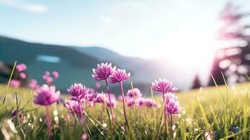 ai generato fiori, sfondo Immagine, fiore campo, luminosità, freschezza, scenario, paesaggio, natura foto