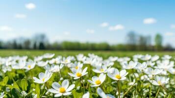 ai generato fiori, sfondo Immagine, fiore campo, luminosità, freschezza, scenario, paesaggio, natura foto