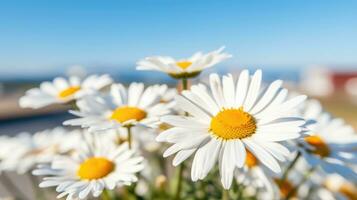 ai generato fiori, sfondo Immagine, fiore campo, luminosità, freschezza, scenario, paesaggio, natura foto