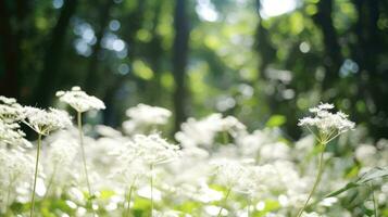 ai generato fiori, sfondo Immagine, fiore campo, luminosità, freschezza, scenario, paesaggio, natura foto