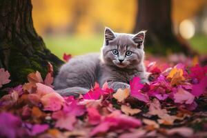 ai generato giocando con gatti infinito felino divertimento foto