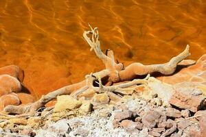 rame rosso inquinata lago il mio foto