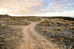 un' sporco strada nel il mezzo di un' deserto foto