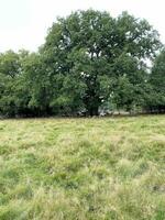 una vista della campagna dello Shropshire vicino a Shrewsbury foto