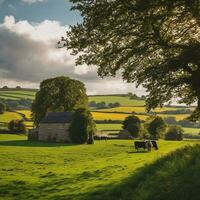 ai generato serenità nel il inglese campagna un' intravedere in rurale azienda agricola vita foto