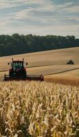 ai generato americano raccogliere sinfonia il essenza di agricoltura vita foto