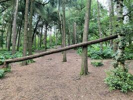 una vista della campagna del Cheshire a Peckforton Hills foto