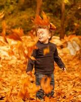 carino bambino nel autunno foresta foto