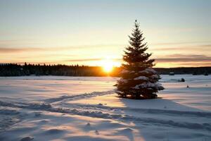 pino alberi o decorato Natale albero coperto di neve su bellissimo inverno. Natale tema all'aperto di ai generato foto