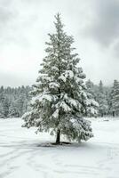 pino alberi o decorato Natale albero coperto di neve su bellissimo inverno. Natale tema all'aperto di ai generato foto