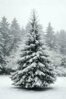 pino alberi o decorato Natale albero coperto di neve su bellissimo inverno. Natale tema all'aperto di ai generato foto