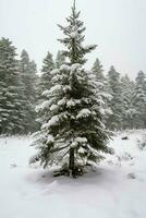 pino alberi o decorato Natale albero coperto di neve su bellissimo inverno. Natale tema all'aperto di ai generato foto