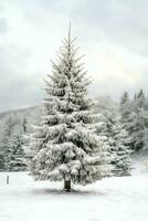 pino alberi o decorato Natale albero coperto di neve su bellissimo inverno. Natale tema all'aperto di ai generato foto