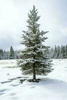 pino alberi o decorato Natale albero coperto di neve su bellissimo inverno. Natale tema all'aperto di ai generato foto