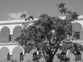 la città di tunisi in tunisia foto