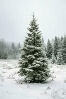 pino alberi o decorato Natale albero coperto di neve su bellissimo inverno. Natale tema all'aperto di ai generato foto