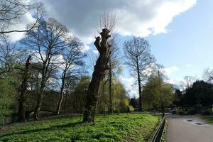 guerra pubblico parco di luton cittadina di Inghilterra durante freddo e soleggiato giorno di aprile 7°, 2023 foto