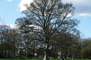 guerra pubblico parco di luton cittadina di Inghilterra durante freddo e soleggiato giorno di aprile 7°, 2023 foto