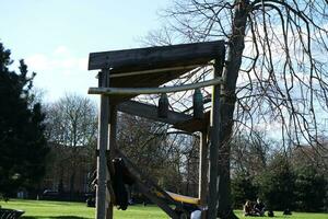 guerra pubblico parco di luton cittadina di Inghilterra durante freddo e soleggiato giorno di aprile 7°, 2023 foto