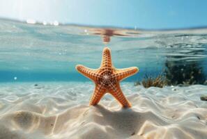 ai generato foto di jason Dunn di un' stella marina su il spiaggia sotto acqua