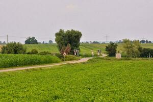 panoramico rurale Visualizza foto