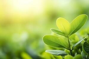 ai generato natura di verde foglia nel un' giardino nel estate sotto luce del sole. primavera sfondo. ai generato foto