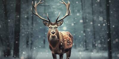 ai generato nobile cervo maschio nel il inverno neve foresta. artistico inverno Natale paesaggio. ai generato foto