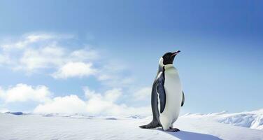 ai generato pinguino in piedi nel Antartide guardare in il blu cielo. ai generato foto