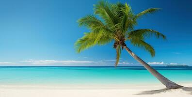 ai generato un Immagine di un' palma albero su un' bianca sabbioso spiaggia foto