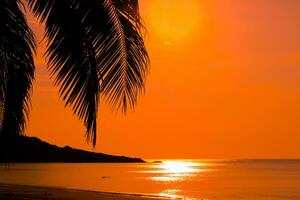 silhouette di bellissimo tramonto su il mare spiaggia con palma albero per viaggio nel vacanza rilassare tempo come estate foto